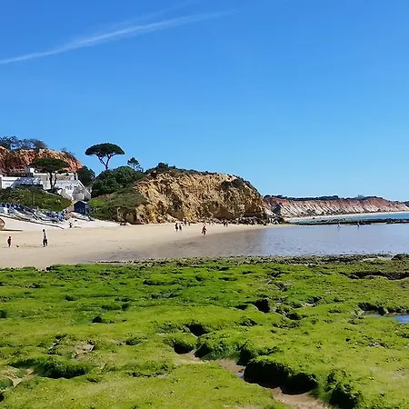 Vista Ondas 205 B2 - Olhos De Agua